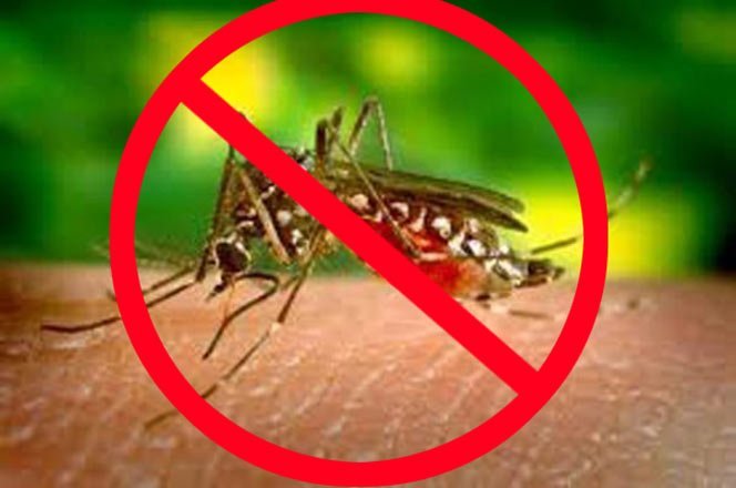 Rashtriya Mashal | कोविड-19 के बीच बढ़ी डेंगू और चिकनगुनिया की संभावना, रहें...