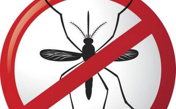 Rashtriya Mashal | साफ़-सफ़ाई के प्रति रहें सतर्क, डेंगू होने का ख़तरा होगा कम